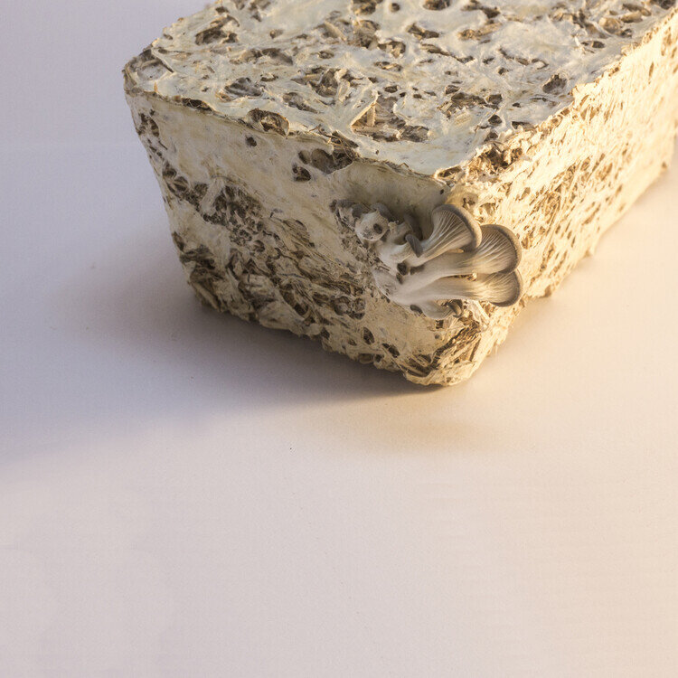 استفاده مجدد از سازههای موقت، رویکرد معماری ونیز