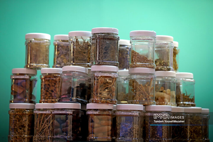 نمایشگاه تخصصی گردشگری سلامت اکو در همدان