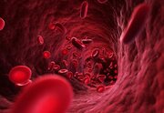 غلظت خون؛ از علائم تا راهکارهای درمانی طب سنتی