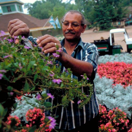 لزوم پارک های موضوعی برای فراگیری اجتماعی