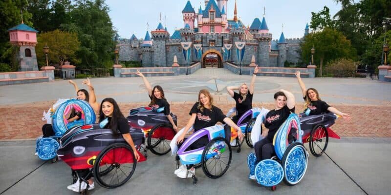 لزوم پارک های موضوعی برای فراگیری اجتماعی