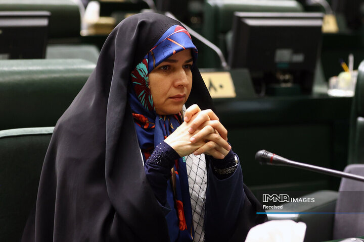 جلسه بررسی صلاحیت وزیر پیشنهادی اقتصاد و دارایی