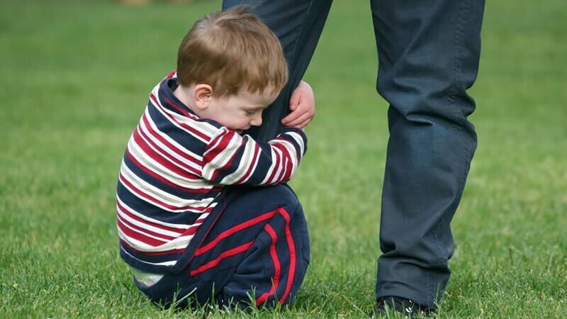 دلبستگی و وابستگی؛ مرز میان امنیت و محدودیت