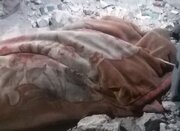 ۳۱ شهید دیگر در نوار غزه