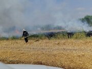 آتش زدن کاه و کلش ممنوع است/ معرفی ۶ نفر متخلف به مراجع قضایی در پارس‌آباد