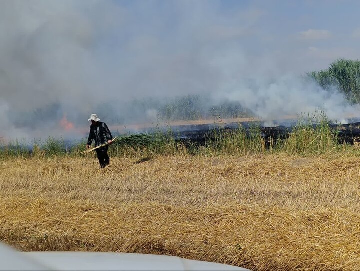 آتش زدن کاه و کلش ممنوع است/ معرفی ۶ نفر متخلف به مراجع قضایی در پارس‌آباد