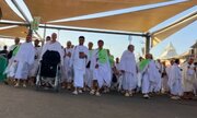 ۴۳ درصد حجاج به کشورمان بازگشتند