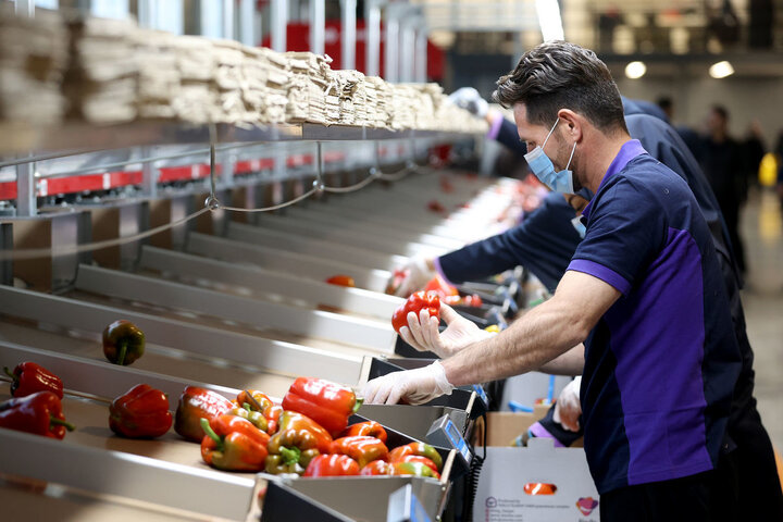 تقویت ذخایر؛ گام‌های موثر برای تامین امنیت غذایی کشور