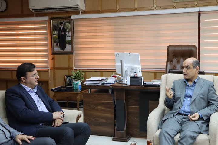 برنامه جامع برای توسعه زراعت چوب در کشور در دست اجرا است