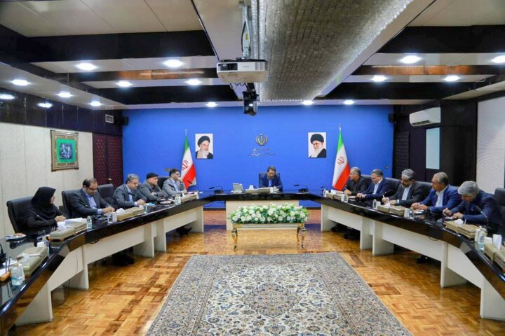 فروشگاه‌های زنجیره‌ای، بازوی اجرایی دولت در مدیریت بازار بحران