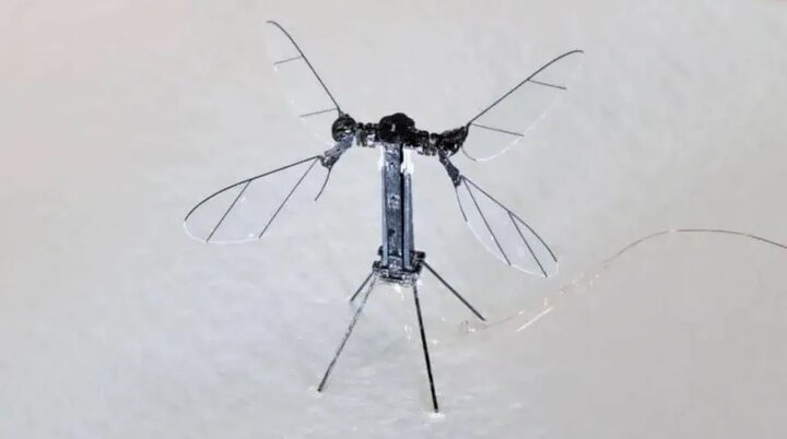 رونمایی پهپاد جاسوسی ۰.۶ سانتی‌متری