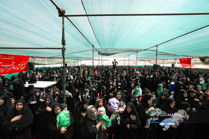 همایش شیرخوارگان حسینی در اراک