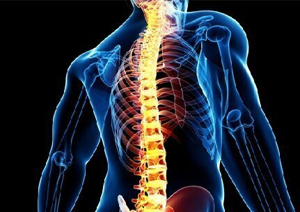 کوله‌پشتی مناسب سفر اربعین چه ویژگی‌هایی دارد؟