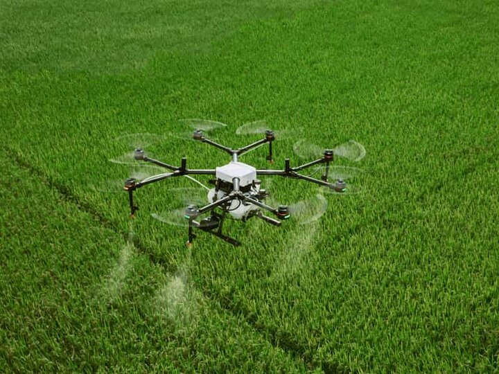 کاهش باروری حشرات مفید با قارچ‌کش‌ کلروتالونیل