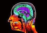 سرعت پیری مغزتان چقدر است