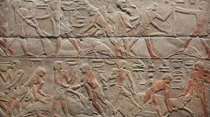 کشف ژنوم کامل یک انسان ۴۸۰۰ ساله از مصر باستان