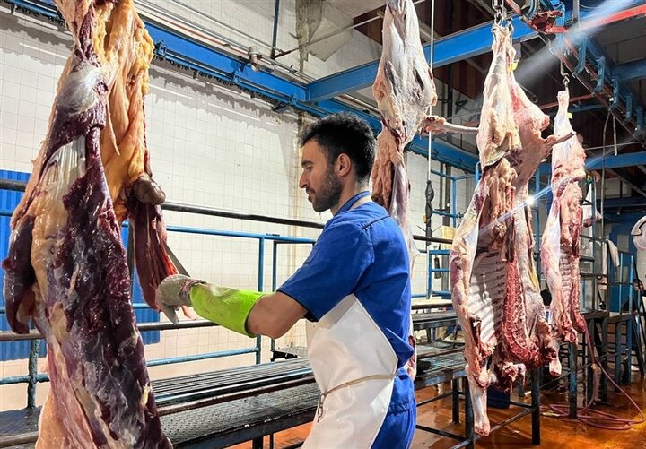 فعالیت ۵۹ گروه ثابت و سیار دامپزشکی کرمان در ایام تاسوعا و عاشورا