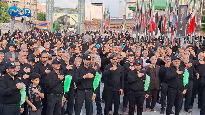 فیلم| اجتماع بزرگ علوی‌تباران آملی در عزاداری حسینی