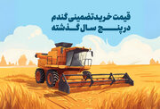 بررسی قیمت گندم در ۵ سال گذشته + آخرین نرخ سال ۱۴۰۴