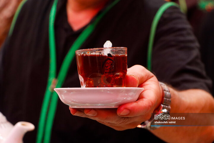 آمادگی همه‌جانبه ارتش برای خدمت‌رسانی به زائران اربعین