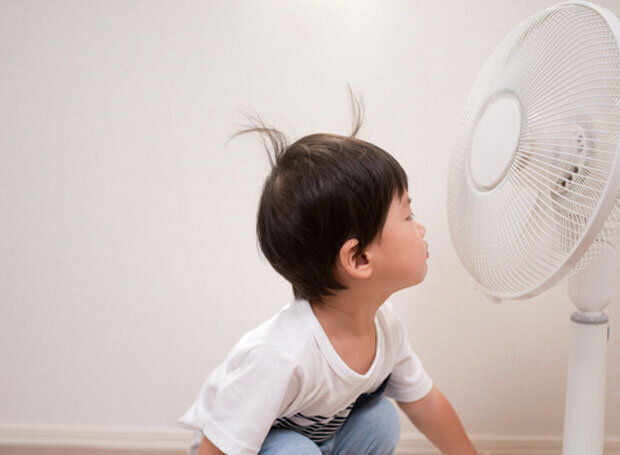 نسخه طبیعت برای در امان ماندن از گرمای تابستان