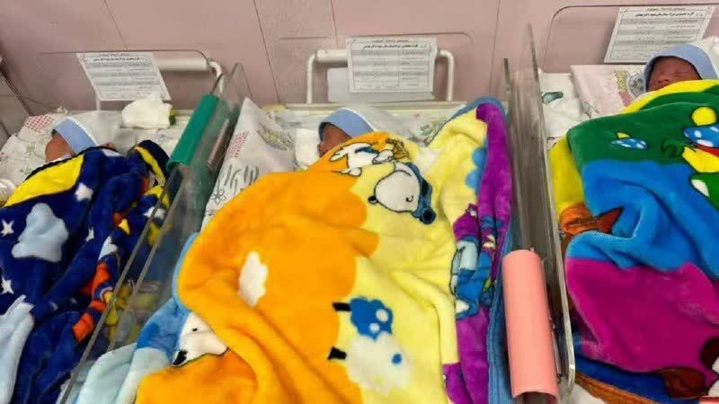 سلاحی برای دفاع از حقوق بشر و حقوق زنان / نقاشی که صحنه شهادتش آخرین خودنگارهاش شد