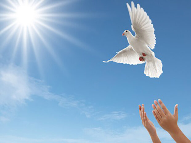 رهایی یک محکوم به قصاص در رامسر از دار مجازات