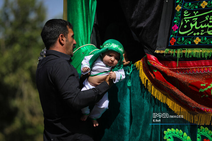 آئین نخل‌گردانی روز عاشورا در خمین