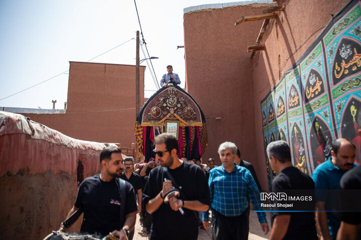 آیین نخل گردانی روز عاشورا در روستای تاریخی ابیانه