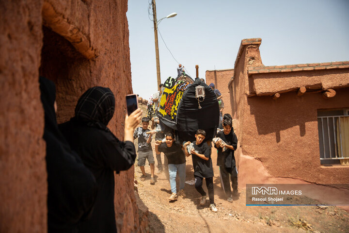 آیین نخل گردانی روز عاشورا در روستای تاریخی ابیانه