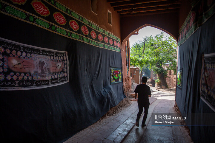 آیین نخل گردانی روز عاشورا در روستای تاریخی ابیانه