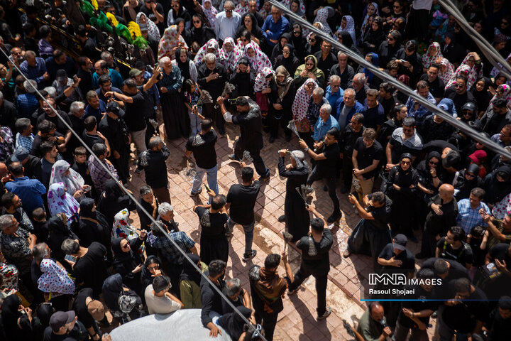 آیین نخل گردانی روز عاشورا در روستای تاریخی ابیانه