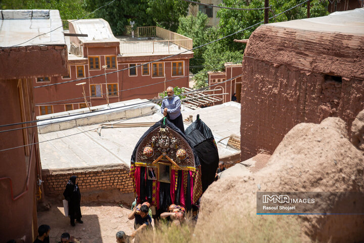 آیین نخل گردانی روز عاشورا در روستای تاریخی ابیانه