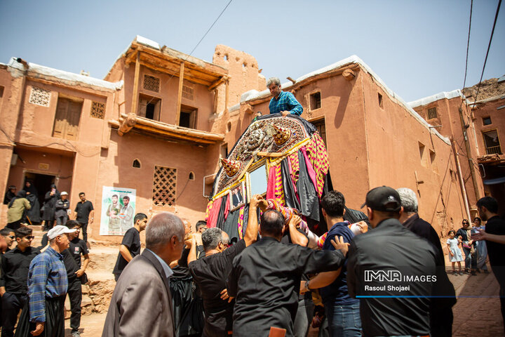 آیین نخل گردانی روز عاشورا در روستای تاریخی ابیانه