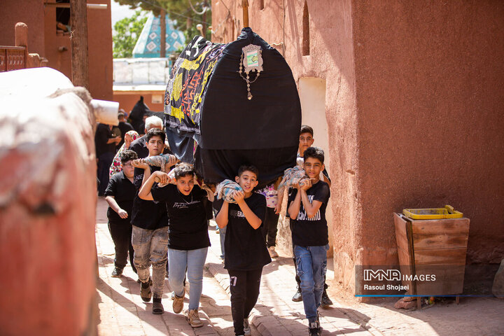 آیین نخل گردانی روز عاشورا در روستای تاریخی ابیانه