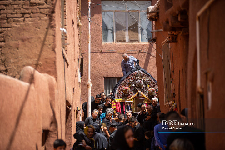 آیین نخل گردانی روز عاشورا در روستای تاریخی ابیانه