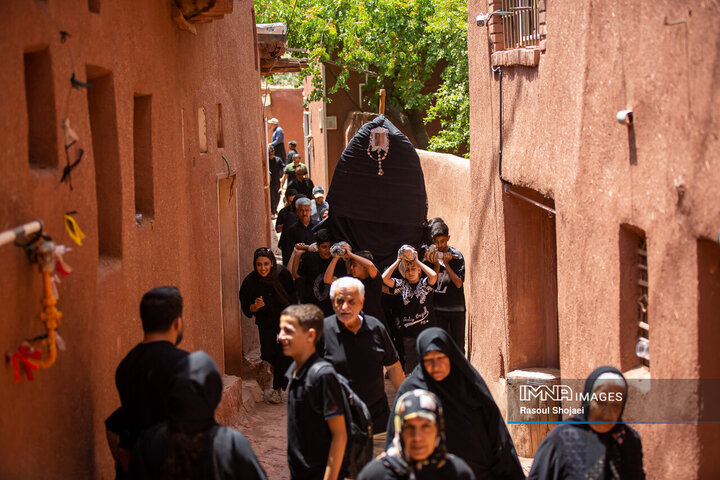 آیین نخل گردانی روز عاشورا در روستای تاریخی ابیانه