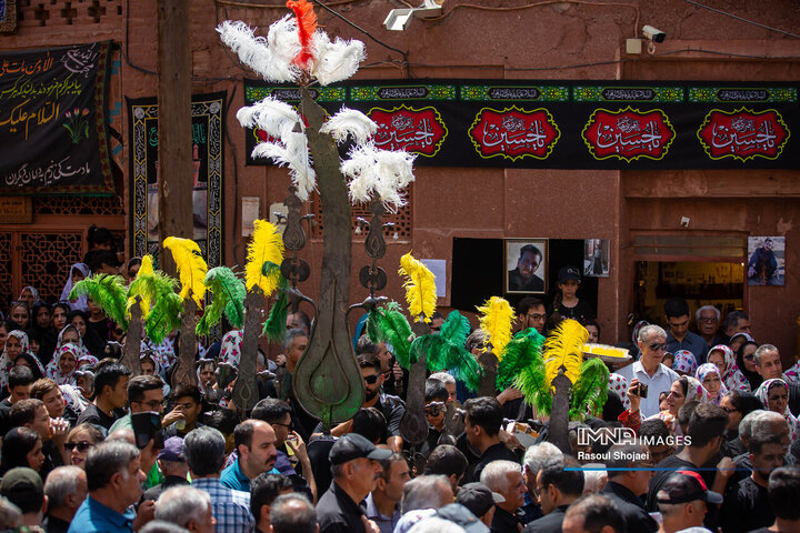 آیین نخل گردانی روز عاشورا در روستای تاریخی ابیانه