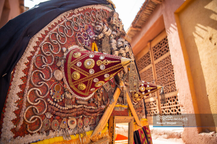 آیین نخل گردانی روز عاشورا در روستای تاریخی ابیانه