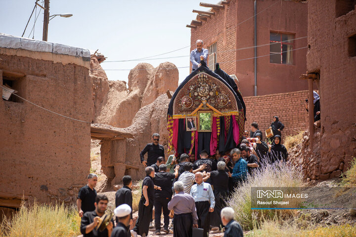 آیین نخل گردانی روز عاشورا در روستای تاریخی ابیانه