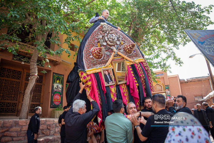آیین نخل گردانی روز عاشورا در روستای تاریخی ابیانه