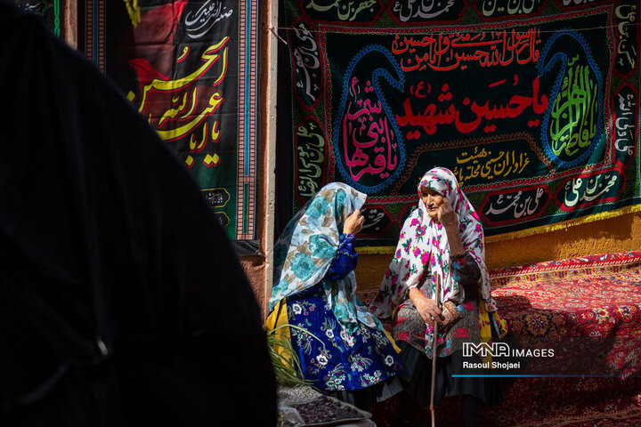 آیین نخل گردانی روز عاشورا در روستای تاریخی ابیانه