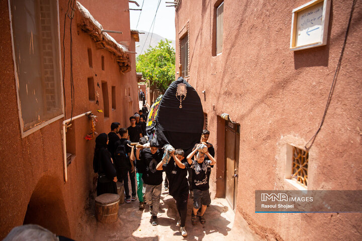 آیین نخل گردانی روز عاشورا در روستای تاریخی ابیانه