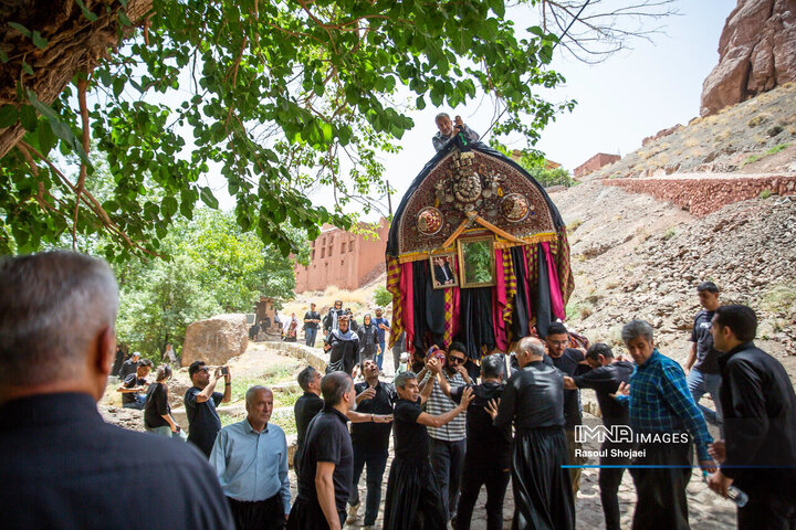 آیین نخل گردانی روز عاشورا در روستای تاریخی ابیانه