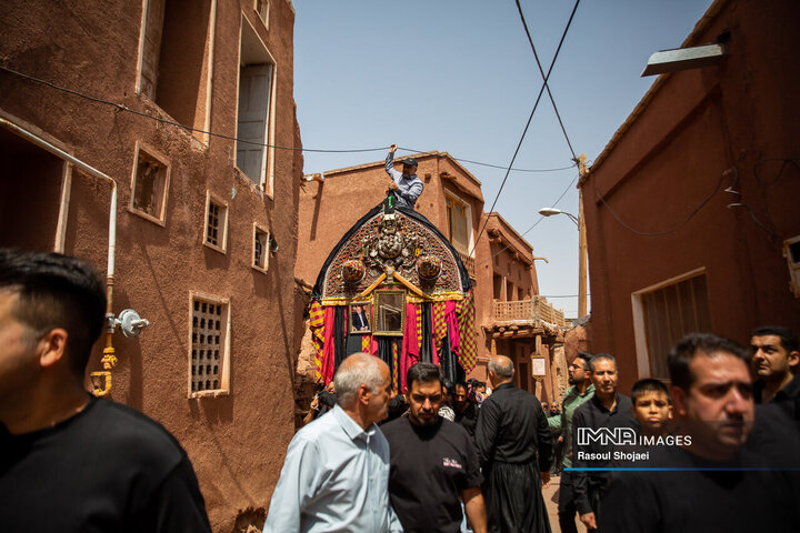 آیین نخل گردانی روز عاشورا در روستای تاریخی ابیانه