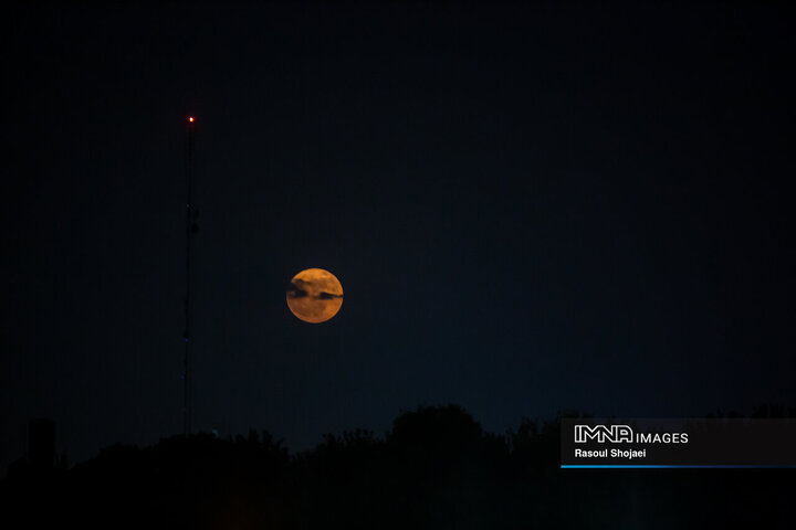 تصاویری از ماه توت فرنگی در اصفهان