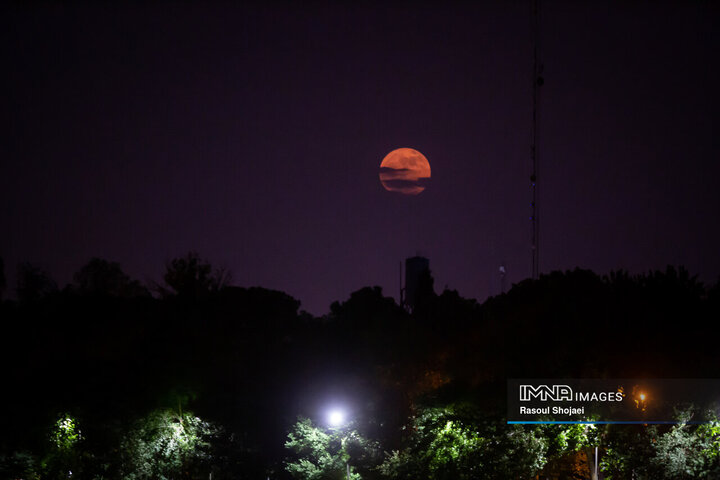 تصاویری از ماه توت فرنگی در اصفهان