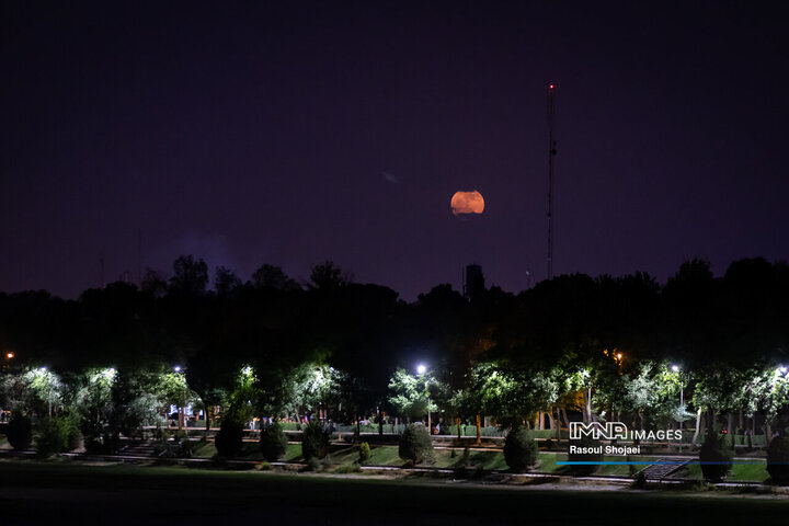 تصاویری از ماه توت فرنگی در اصفهان