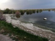 تشدید گردوغبار نتیجه تغییر اقلیم و خشکی تالاب‌ها است