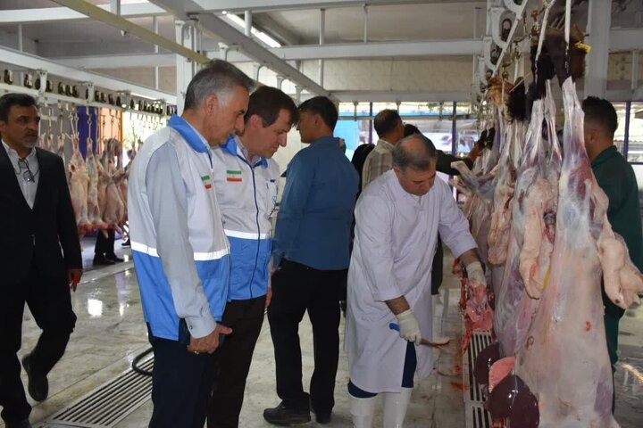 آغاز طرح تشدید نظارتهای بهداشتی در دامپزشکی ایلام آغاز طرح تشدید نظارتهای بهداشتی در دامپزشکی ایلام